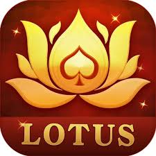 teen patti crash download